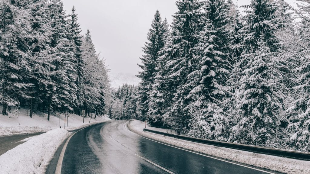 A highway in the winter lined with pine trees.