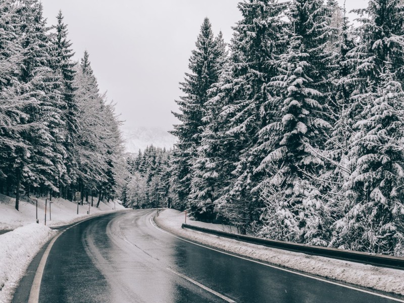 A highway lined with pine trees in the winter.