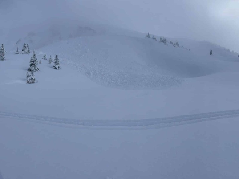 A snowy mountain area with foggy skies and a few snow covered trees.