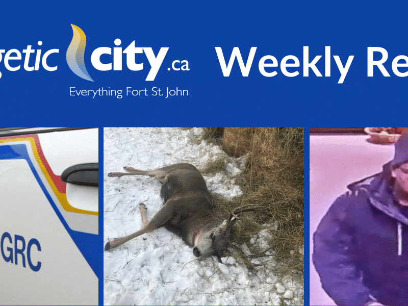 Top stories for December 25-31