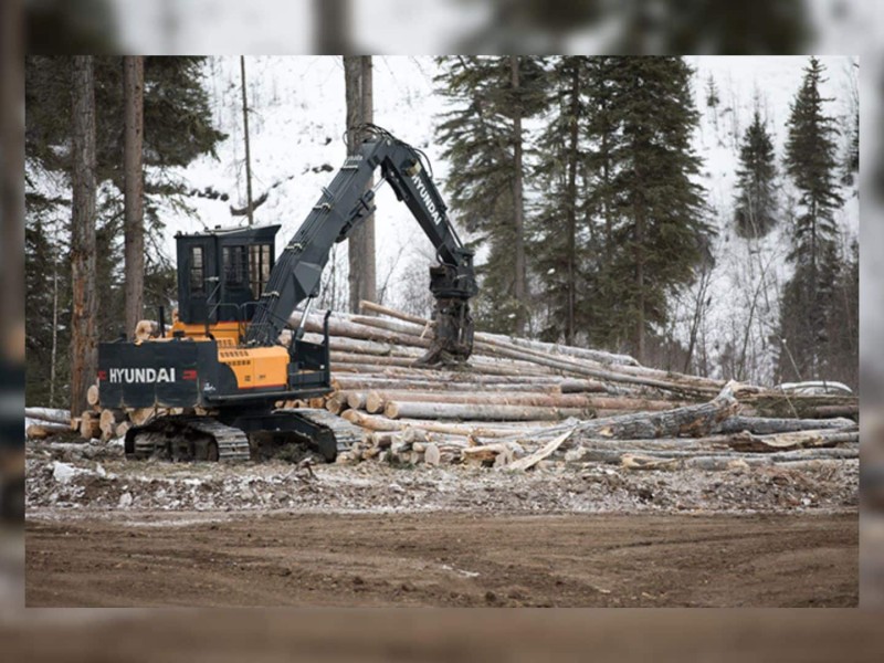 Logging truck with wood