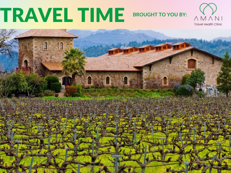 Check out these winter destinations