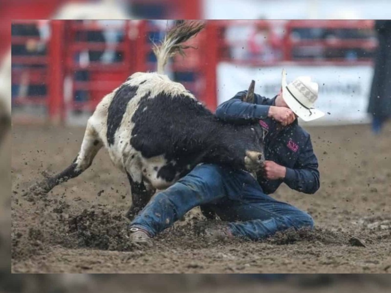 The results are in for this year's Canadian Finals Rodeo. ( Stephen Culling )