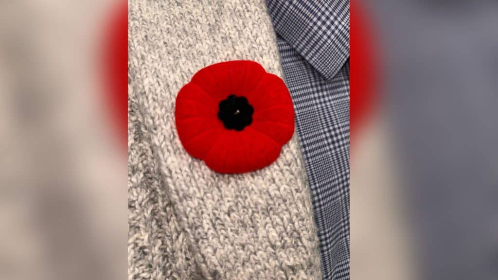 A poppy pin on a sweater. (Shailynn Foster)