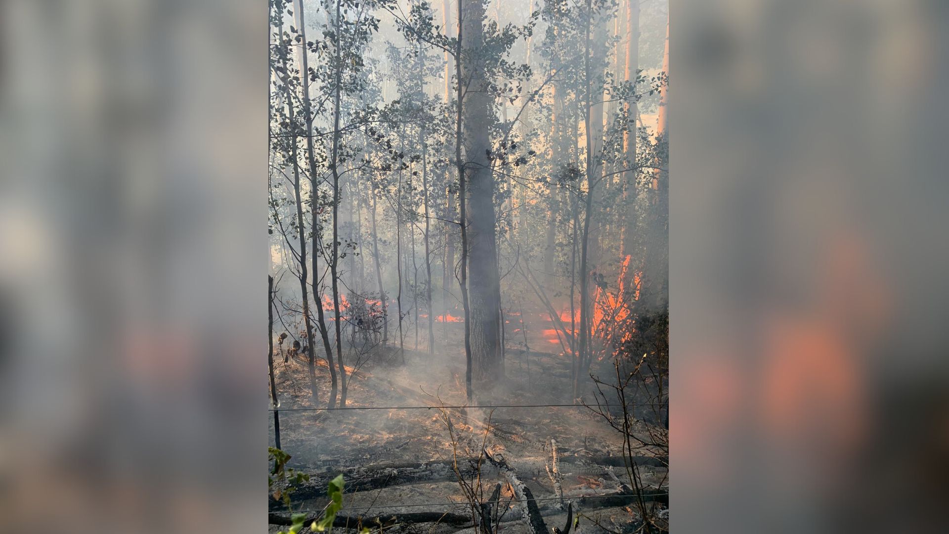 Bear Mountain fire 2 – Energeticcity.ca