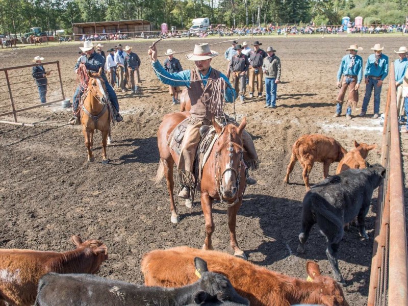 Cache Rodeo Jpg Image North Cache Ranch Rodeo will feature practical ranch competition events