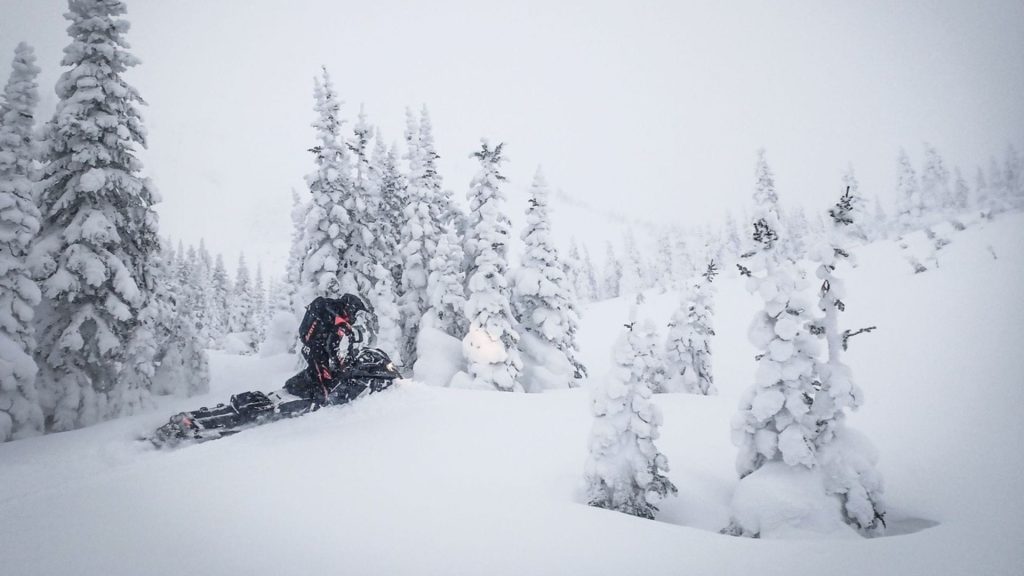 Snowmobile across some snow with some evergreens in the background.