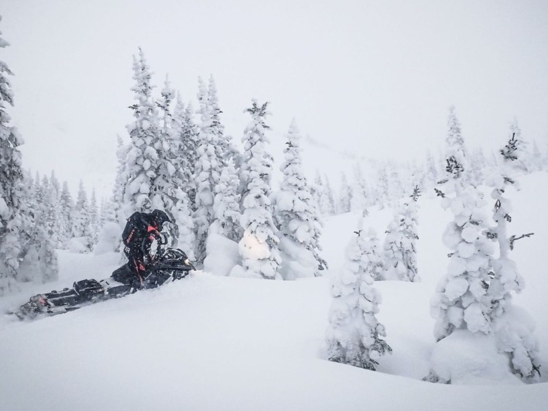 Snowmobile across some snow with some evergreens in the background.