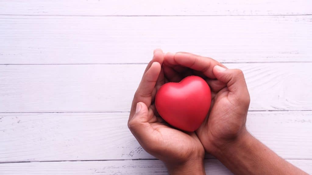 A pair of hands holding a small heart.