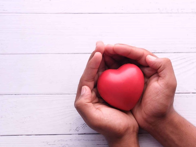 A pair of hands holding a small heart.