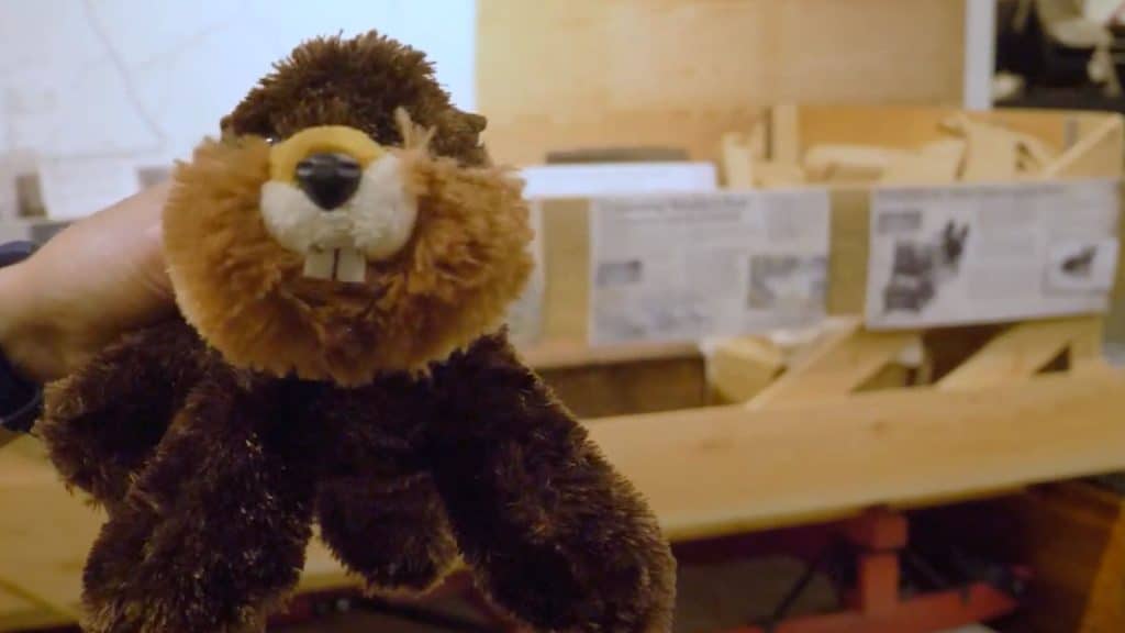A beaver stuffed animal.