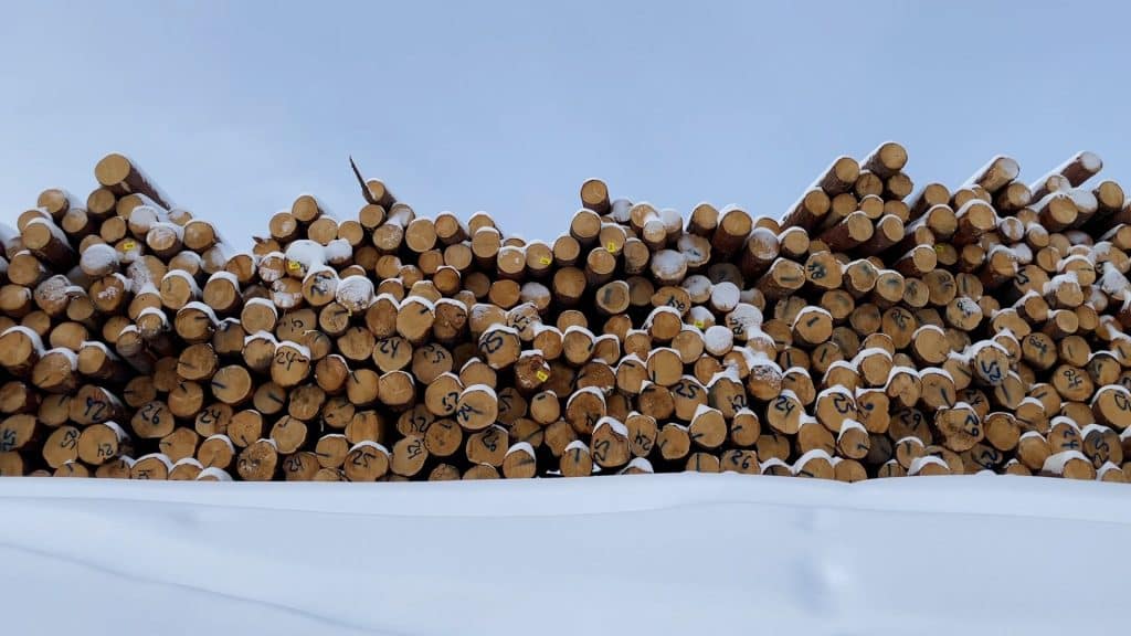 A pile of marked logs in the snow.
