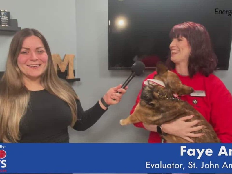 Two people in an interview, one holding a dog