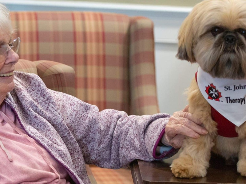 An older lady with white hair and glasses sitting in a chair with a small dog next to her wearing a St. John Ambulance Therapy Dog bandana around it's neck.