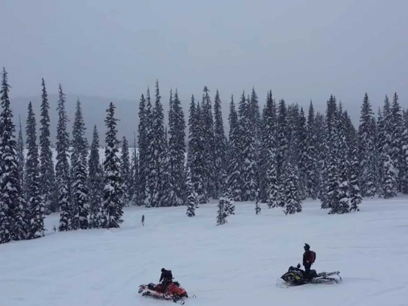 A snowy forest scene with two snowmobilers.