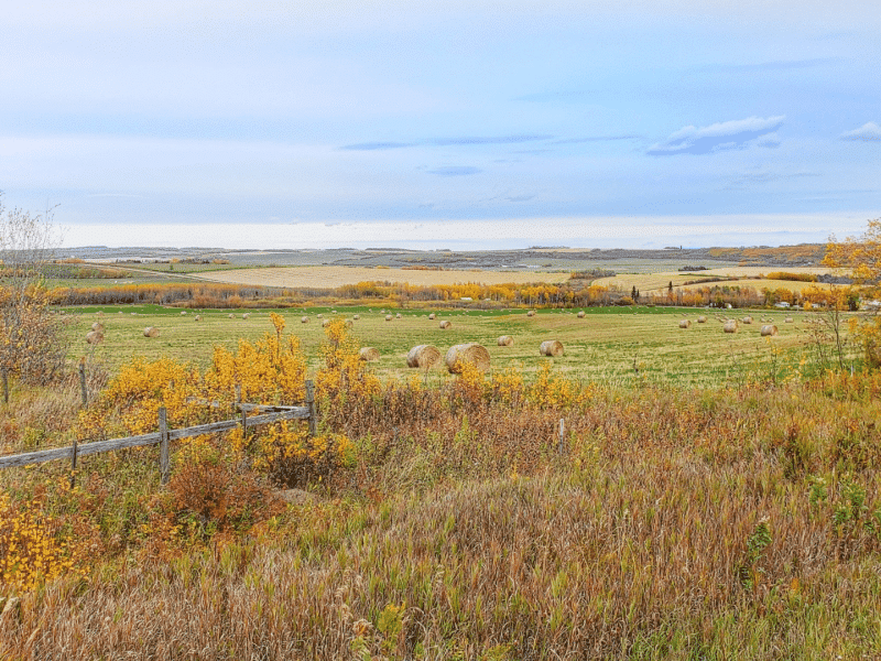 Montney Reserve