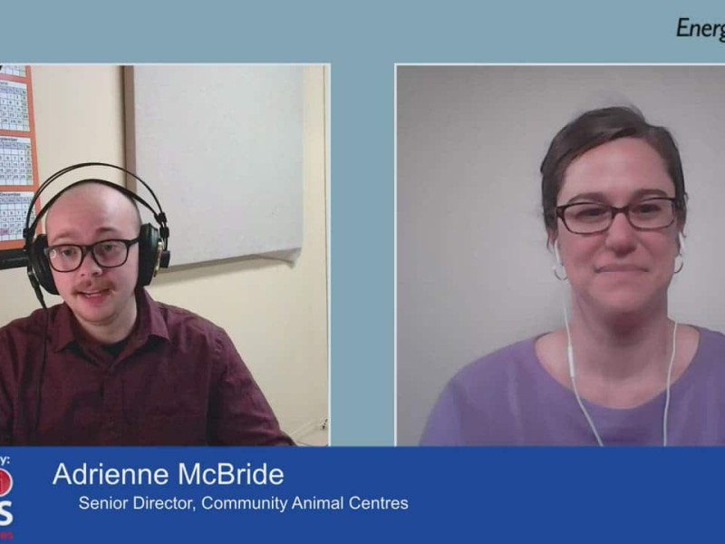 Two people on a video call.