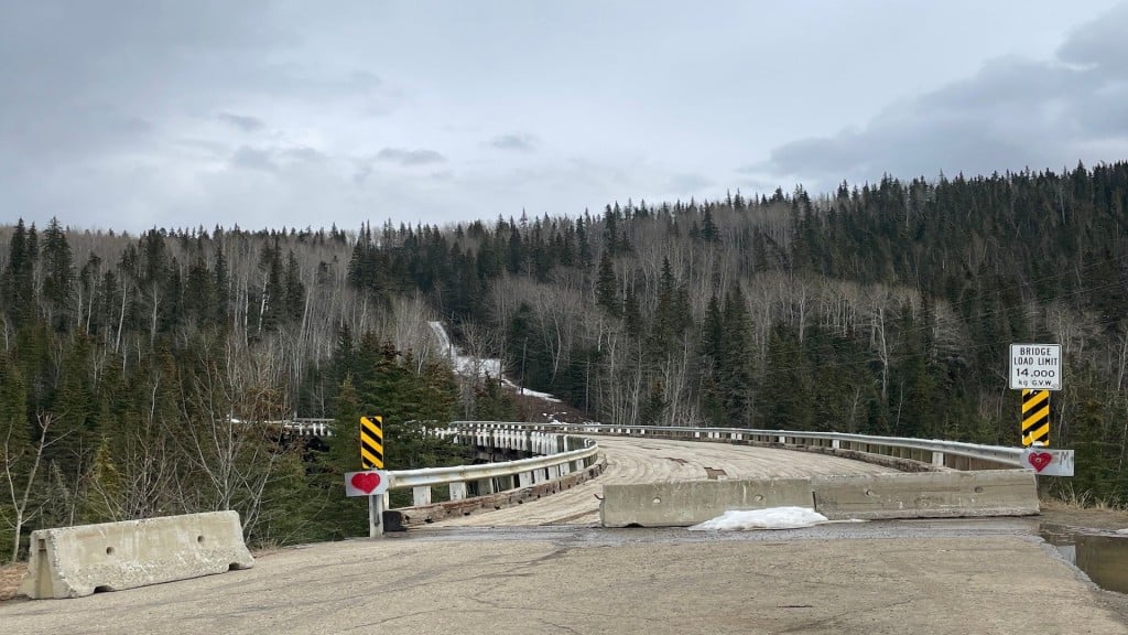 A picture of an old bridge going into some evergreen trees on the other side.