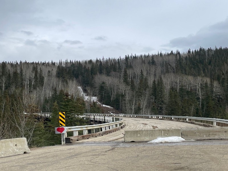 A picture of an old bridge going into some evergreen trees on the other side.
