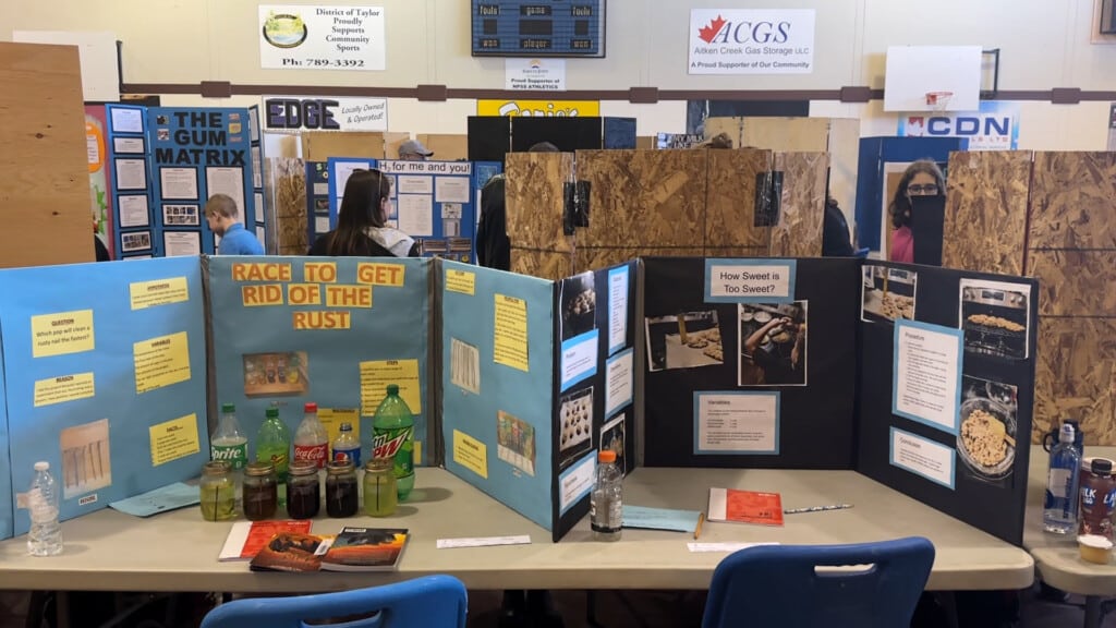 A couple of poster boards at a science fair.