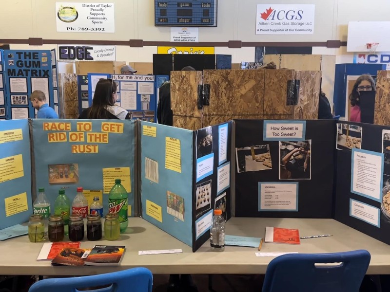 A couple of poster boards at a science fair.