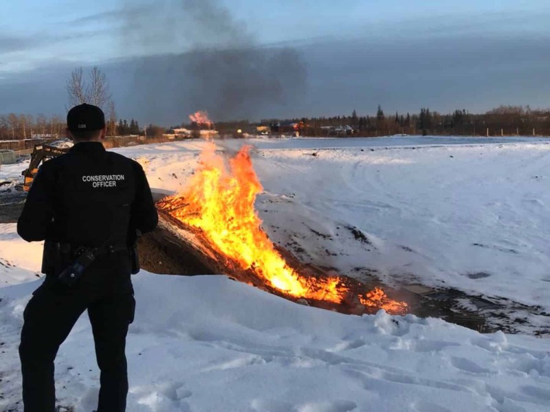 A conservation officer stands in a snowy field in front of a burning pile.