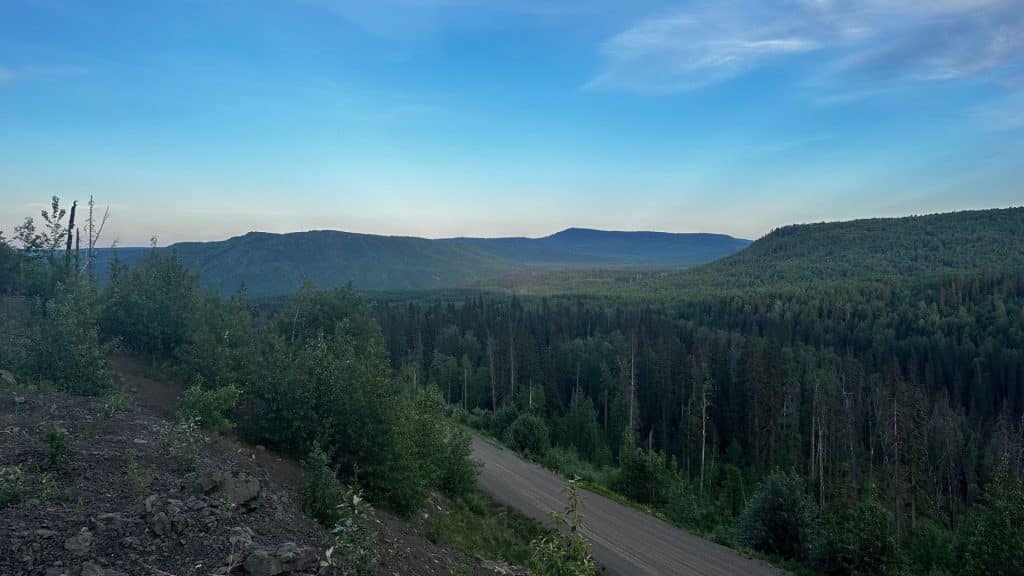 A forest on a forest service road with mountains in the background.