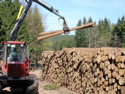 A piece of heavy equipment moving chopped down and stripped tree trunks next to evergreen trees.