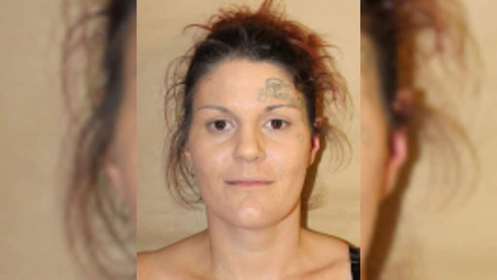 A photo of a girl with a tattoo above and below her right eye and her hair pinned up.