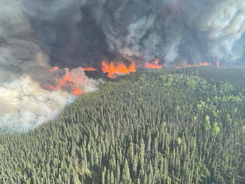 A picture of a wildfire and dark smoke coming out of a green forest.