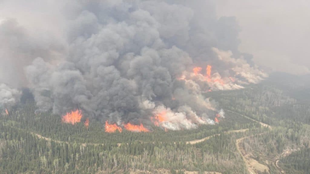 A dark cloud of smoke above a forest on fire.