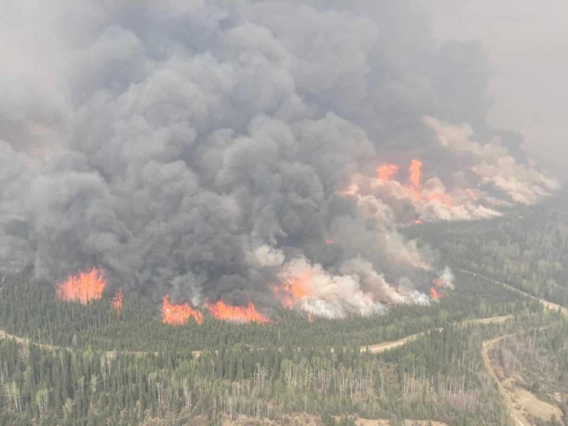 A dark cloud of smoke above a forest on fire.