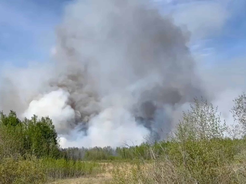 A fire broke out Saturday afternoon near Mile 70 of the Alaska Highway - David Woodford