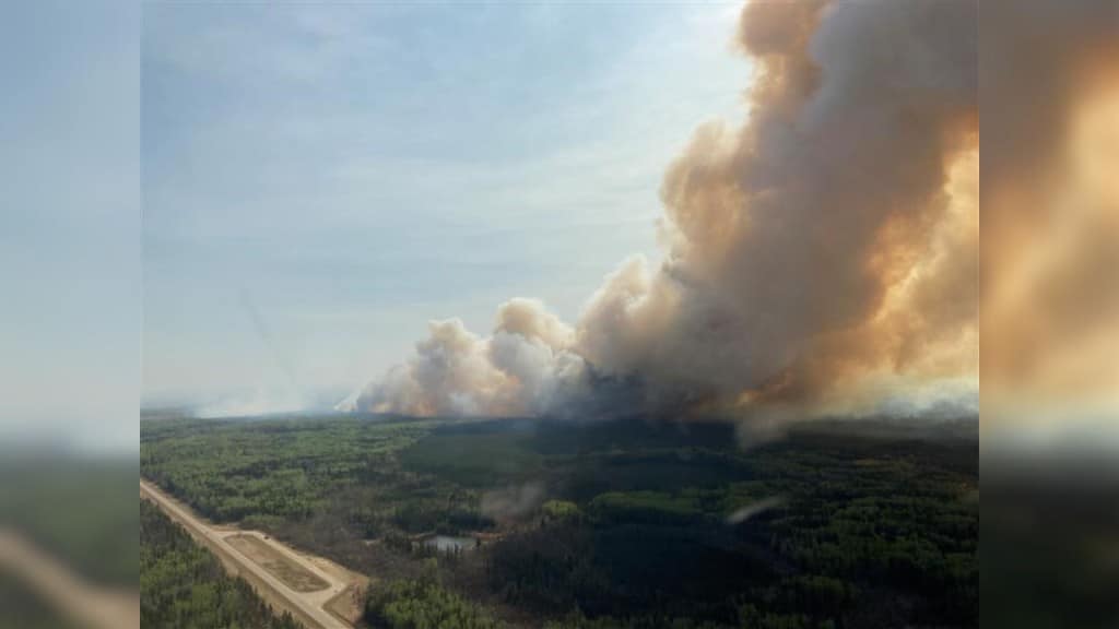 An aerial view of a lot of forest land with smoke covering half the sky coming from a distant wildfire.