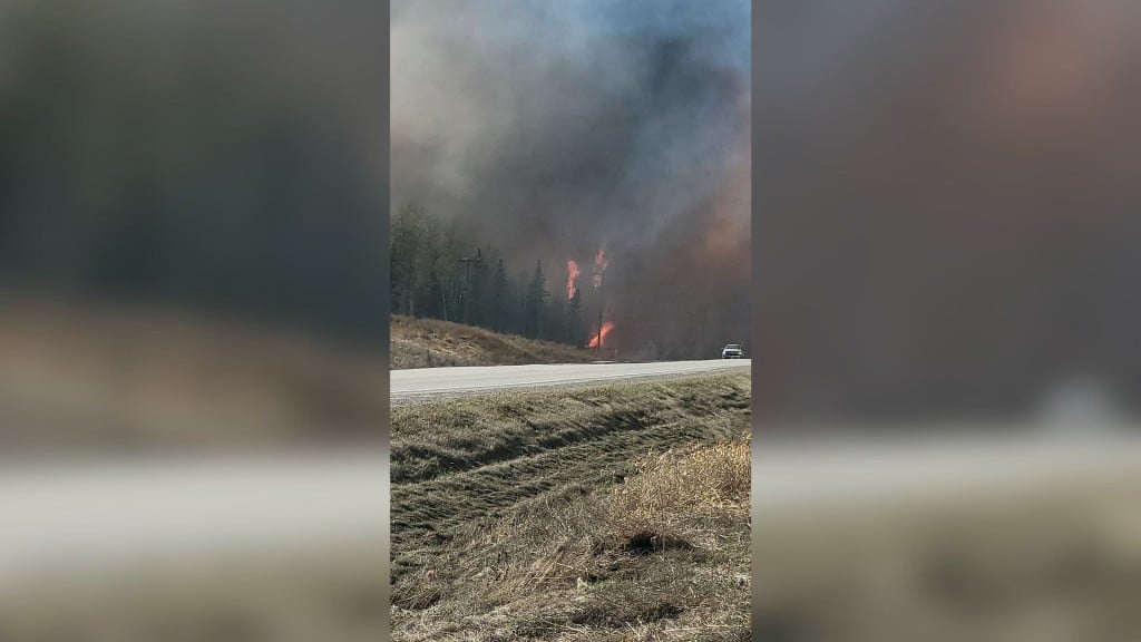 A picture of a highway with trees next to it on fire.