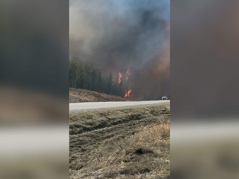 A picture of a highway with trees next to it on fire.