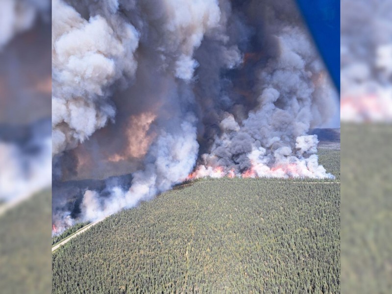 A fire and smoke burning before a road and a large evergreen forest.