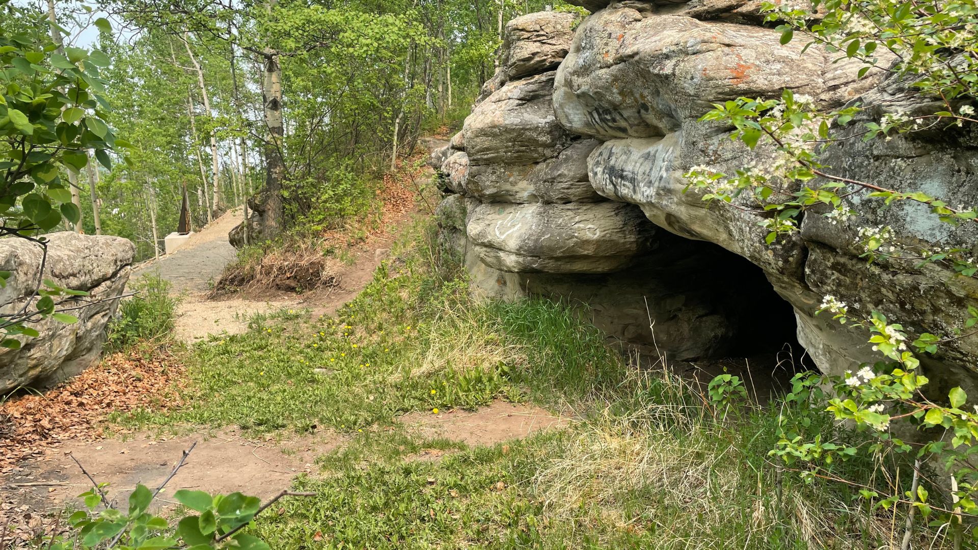 Tse’k’wa cave collaborates with university professor on free educational resources