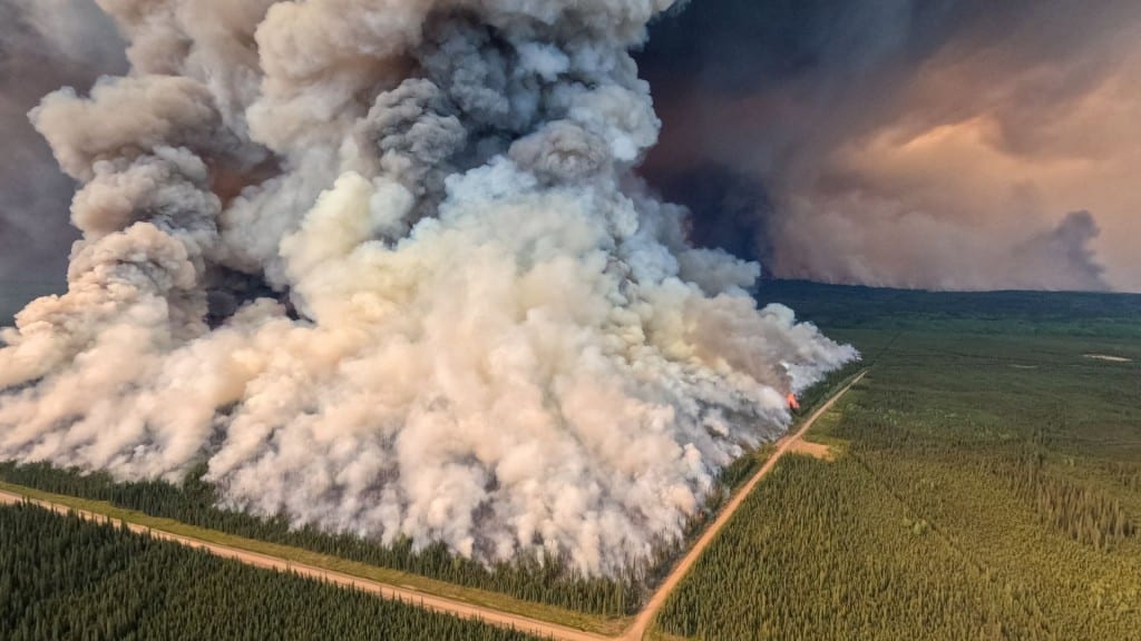 Aerial shot of wildfire smoke coming from an area of evergreen trees.