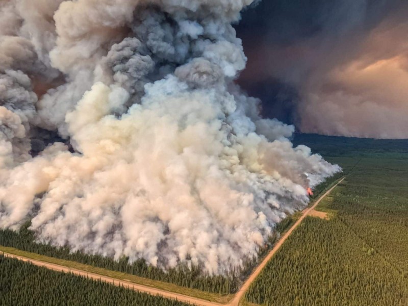 Aerial shot of wildfire smoke coming from an area of evergreen trees.