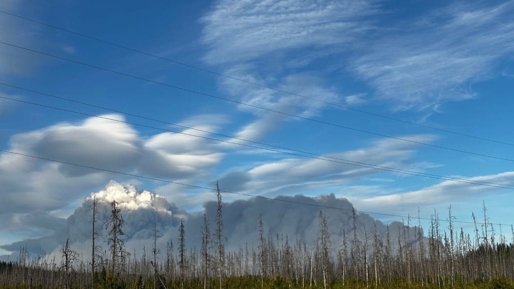 West Kiskatinaw fire smoke above trees on a blue sky.