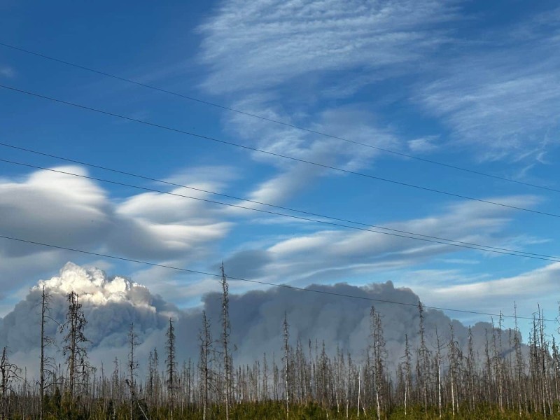West Kiskatinaw fire smoke above trees on a blue sky.