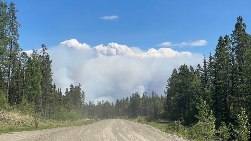 A dirt road surrounded by trees with wildfire smoke in the background.