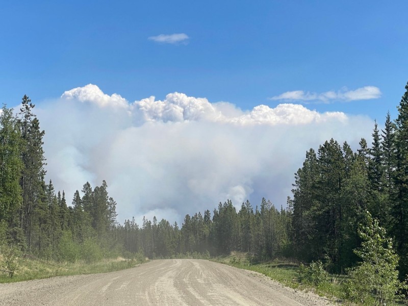 A dirt road surrounded by trees with wildfire smoke in the background.