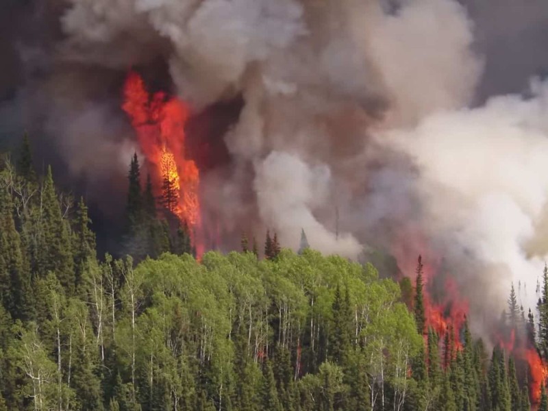 A lot of wildfire smoke with visible fire in a forest.