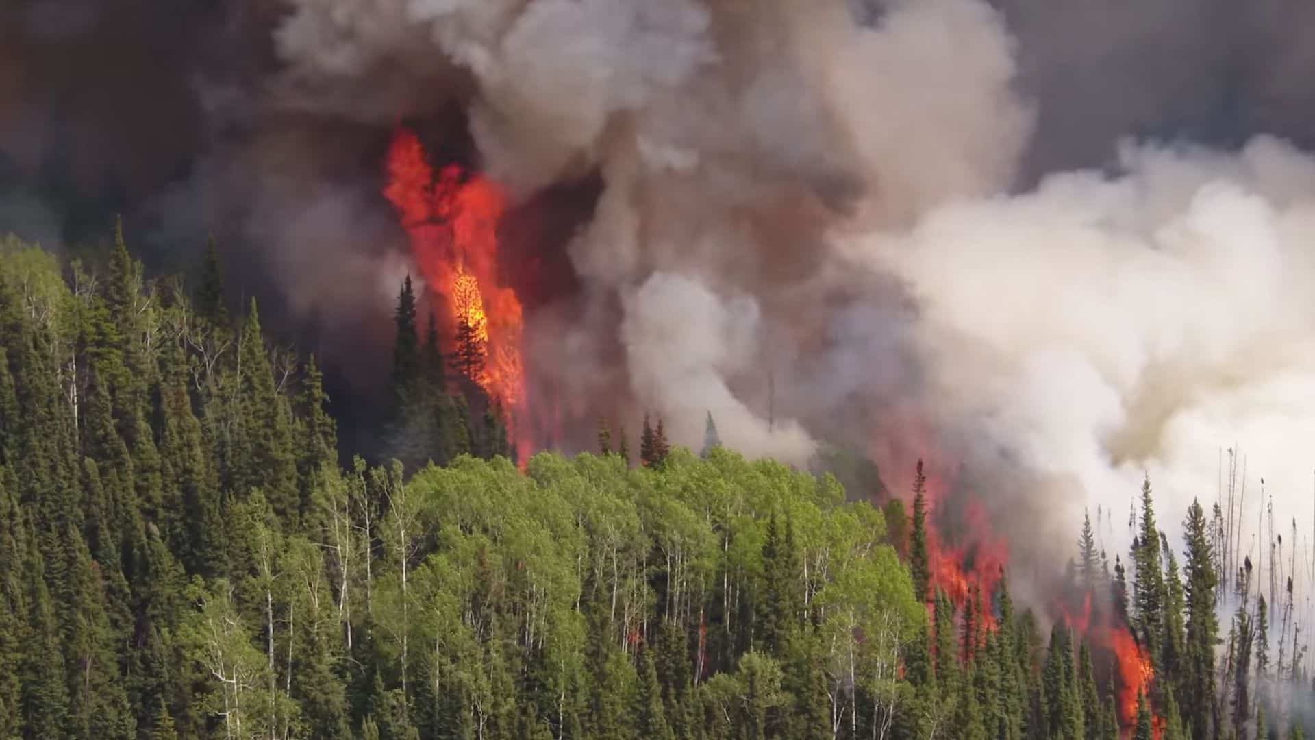 A lot of wildfire smoke with visible fire in a forest.