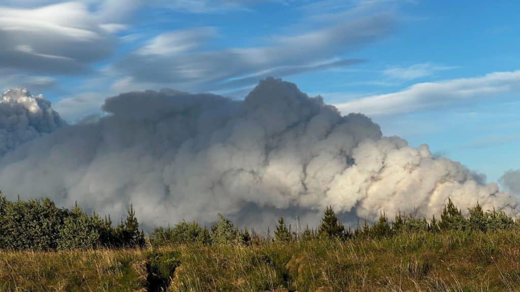 A plume of wildfire smoke across a field.