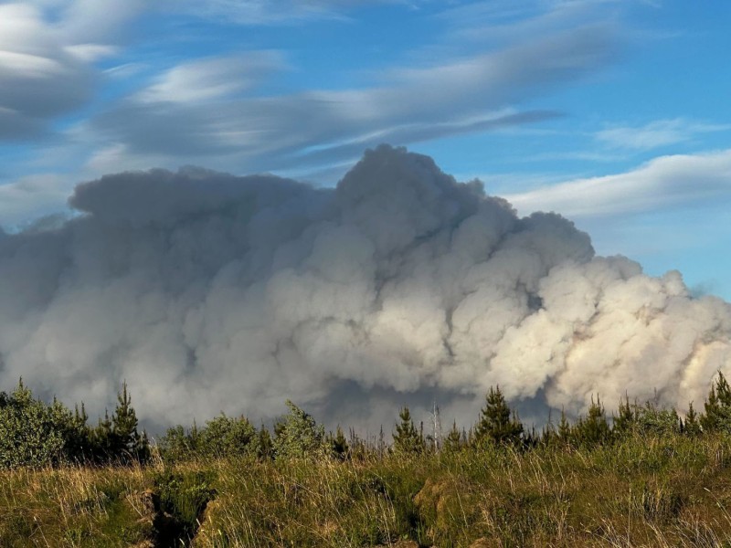A plume of wildfire smoke across a field.