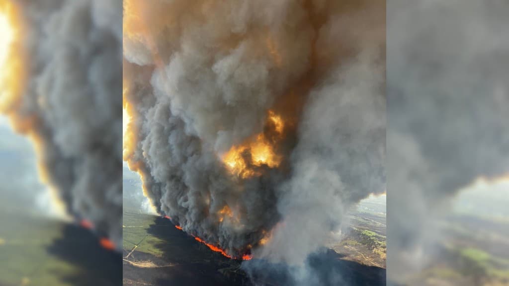 The Donnie Creek wildfire burning in a forest and blowing smoke into the air. Aerial shot.
