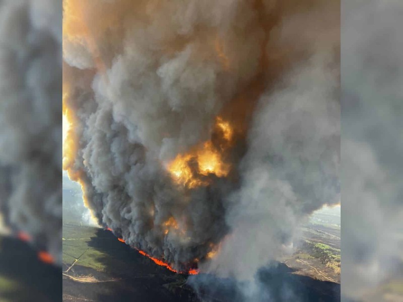 The Donnie Creek wildfire burning in a forest and blowing smoke into the air. Aerial shot.